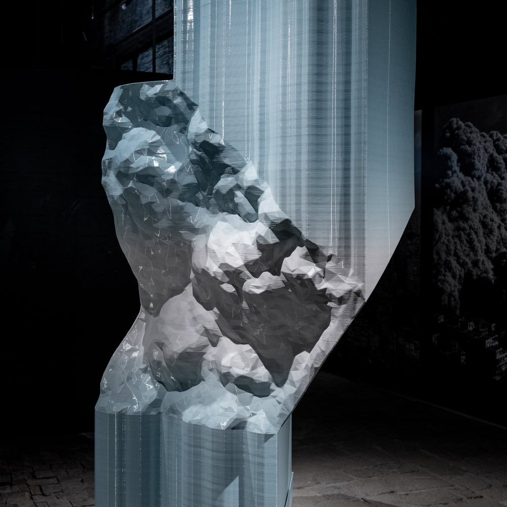 Plasticity Sculpture