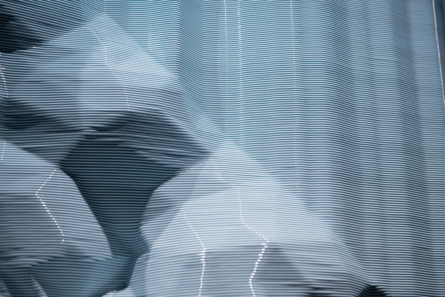 Plasticity Sculpture