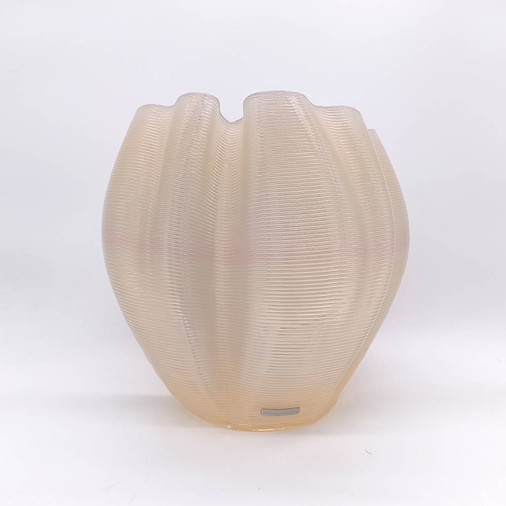 Frizz S.1 Ed.Limitada019
