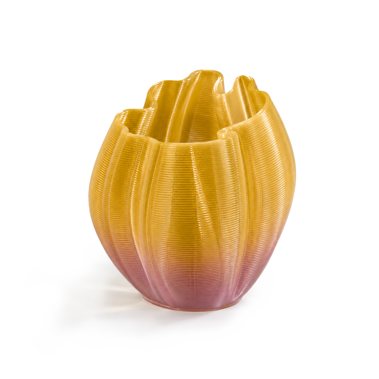0015 Frizz S.1 Edición Limitada