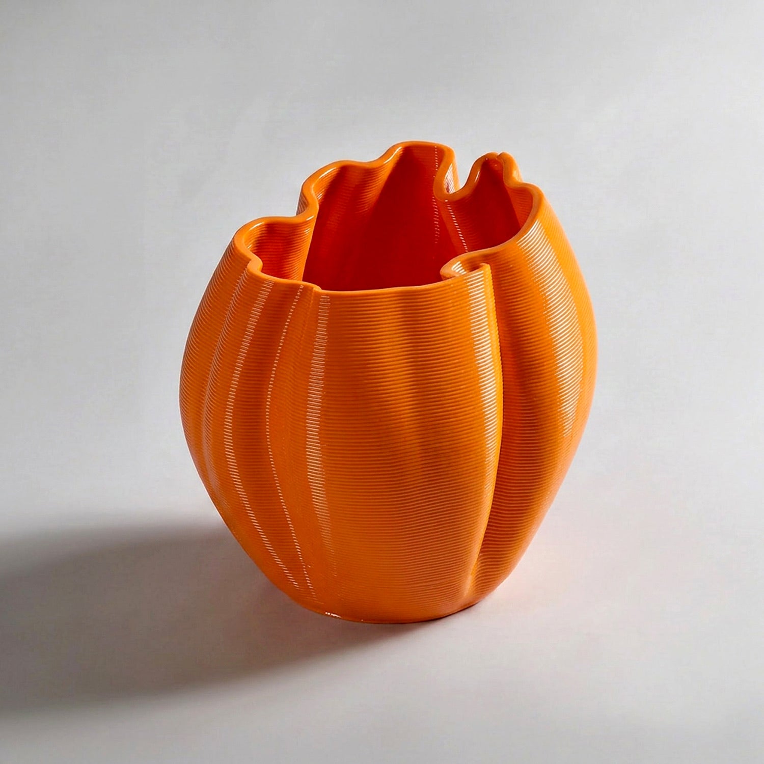 Naranja Frizz S.1