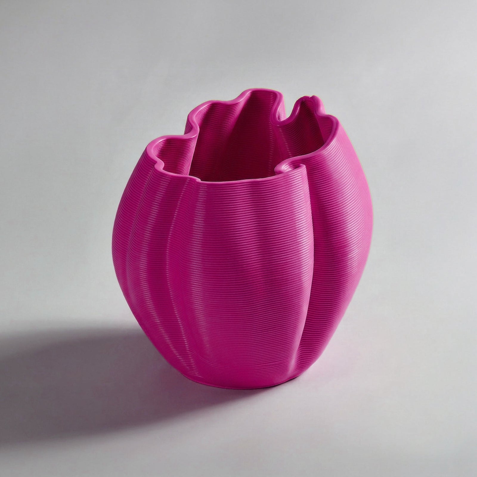 Rosa Frizz S.1