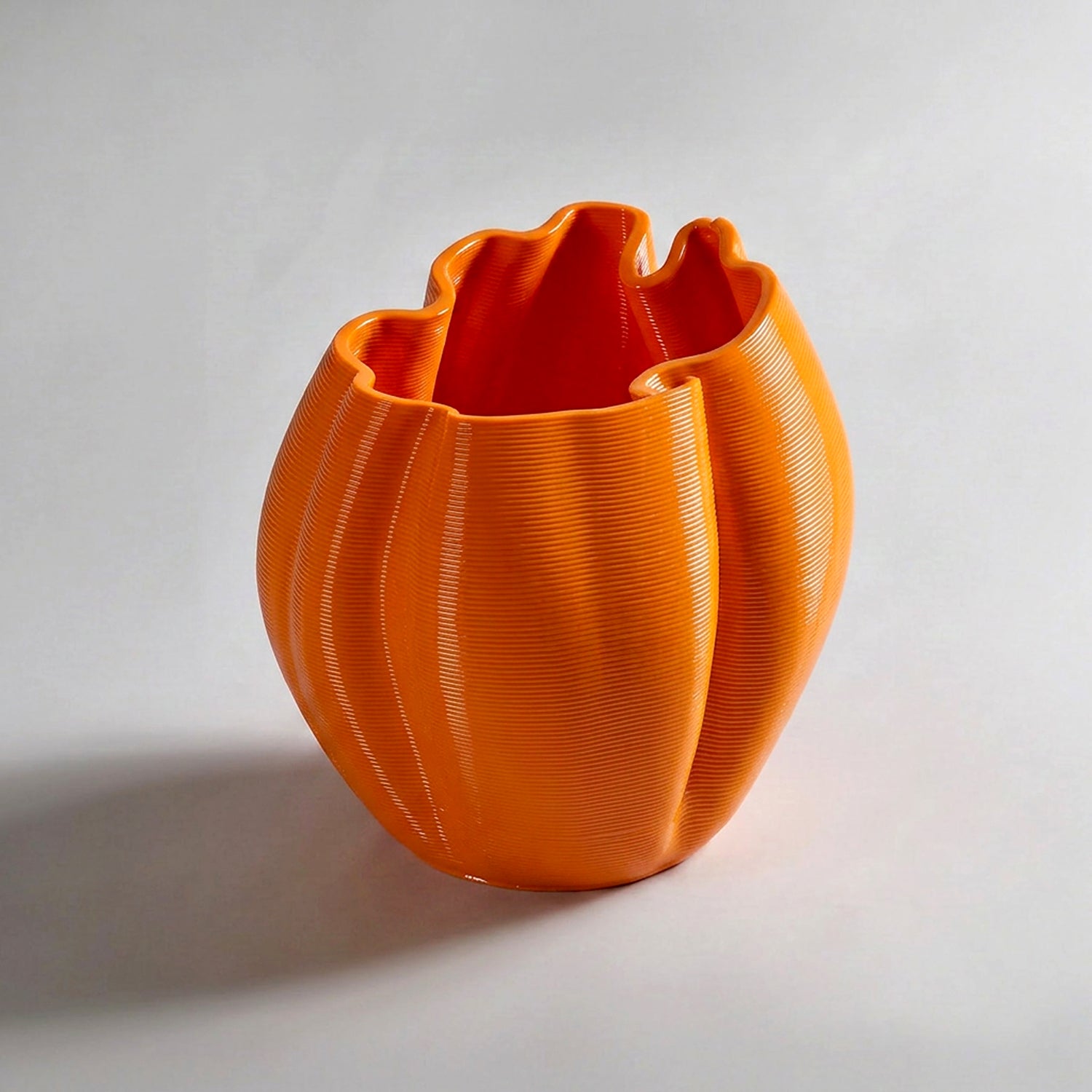 Naranja Frizz S.1