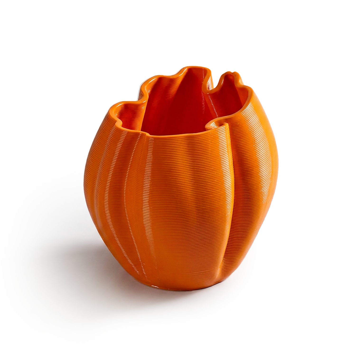 Naranja Frizz S.1