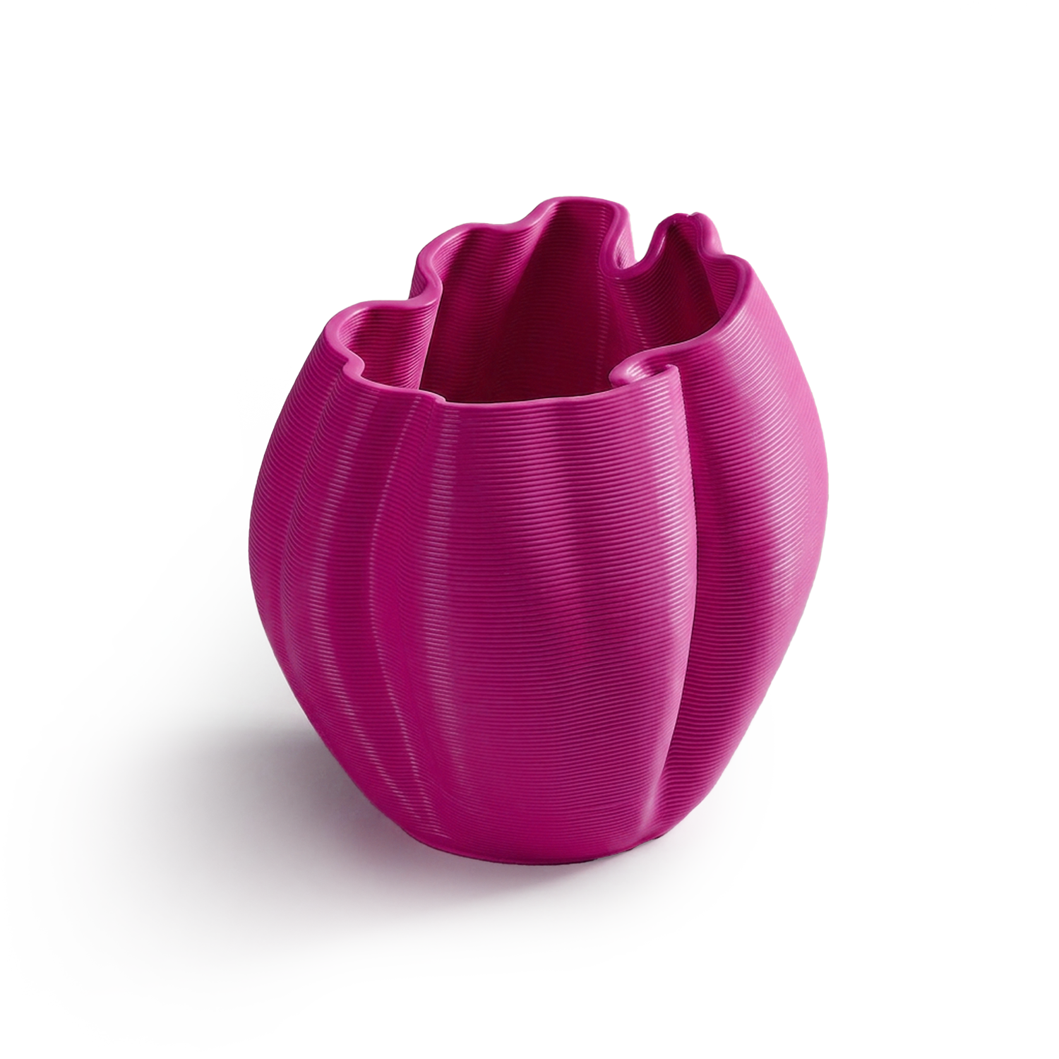 Rosa Frizz S.1