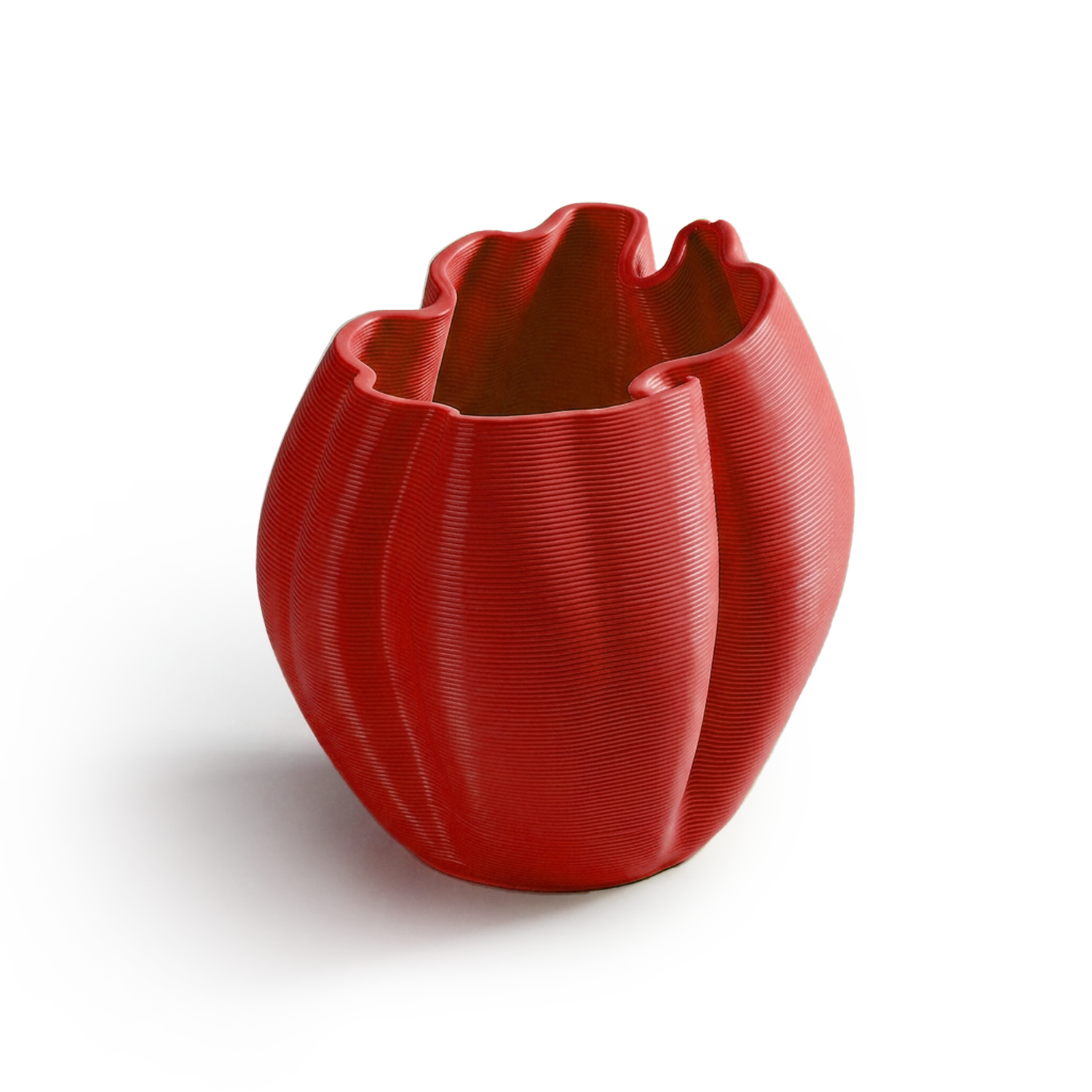 Rojo Frizz S.1
