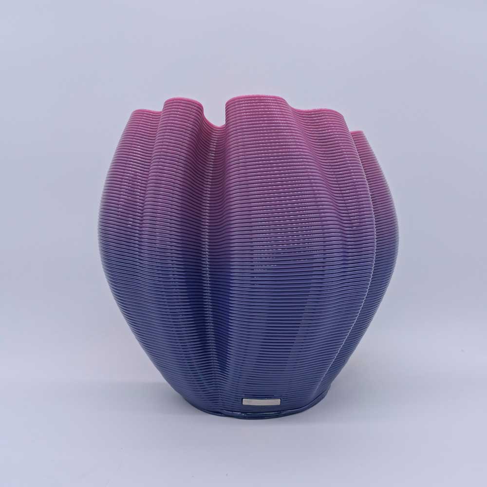 Frizz S.1 - L.E.007
