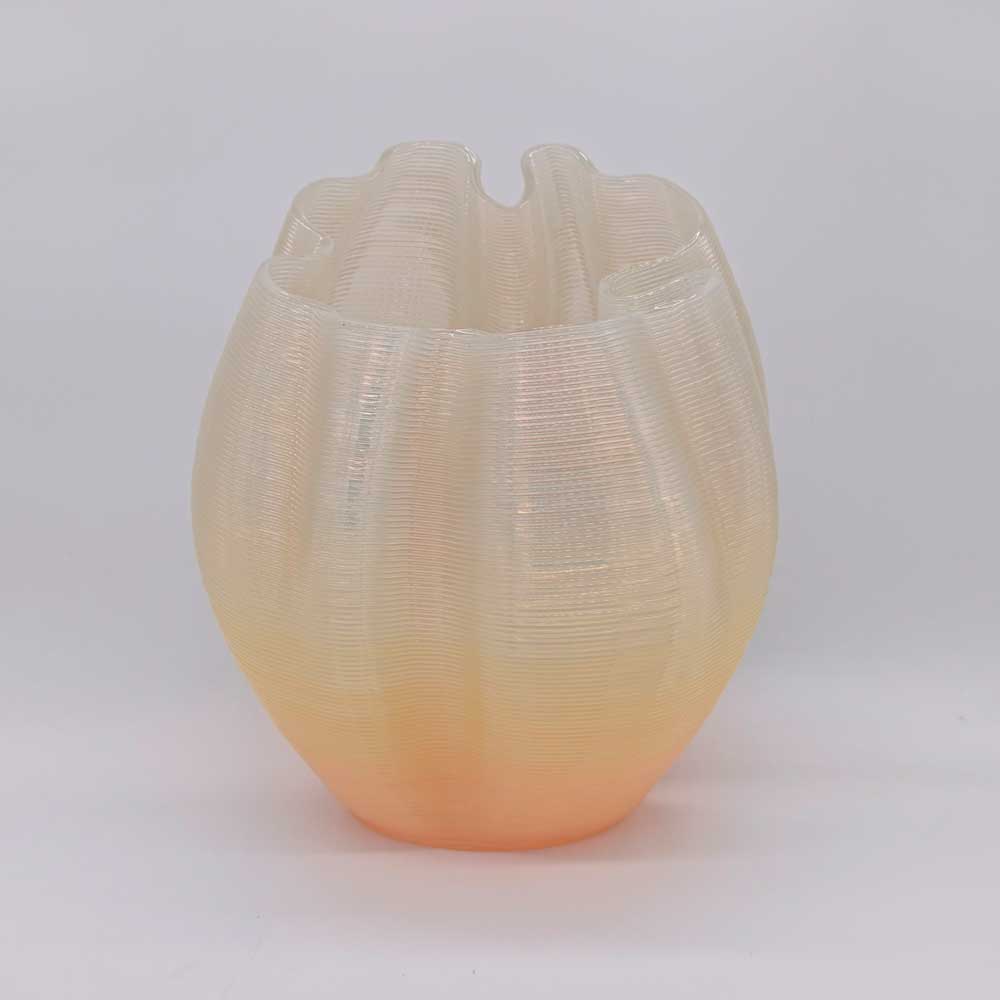 Frizz S.1 - L.E.008