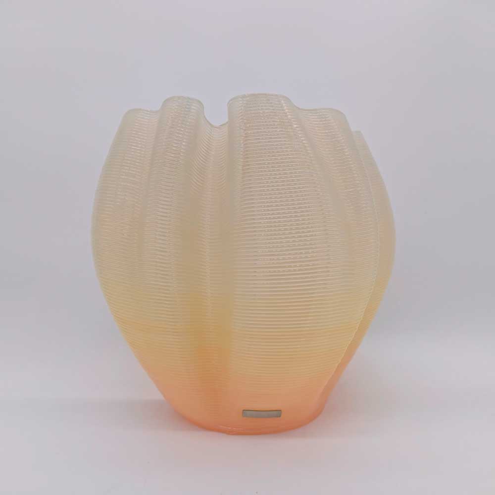Frizz S.1 - L.E.008