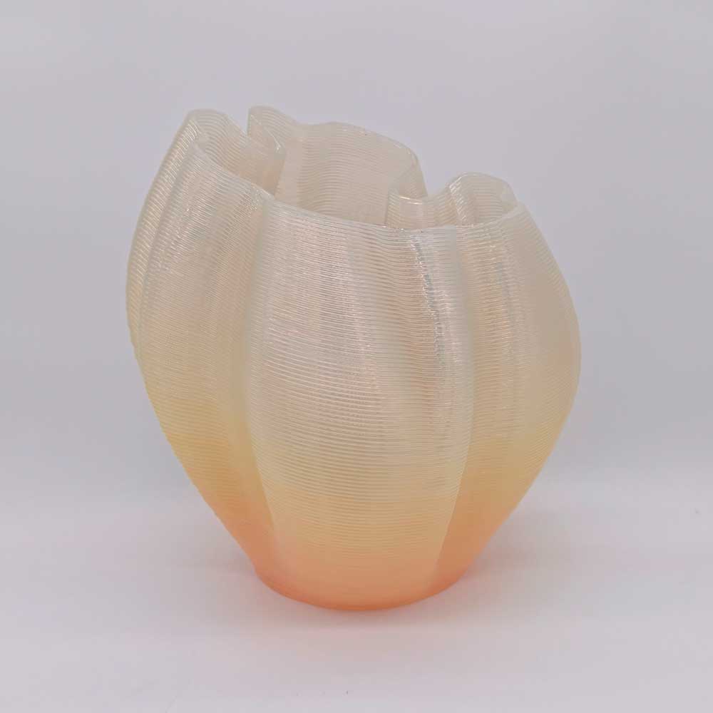 Frizz S.1 - L.E.008