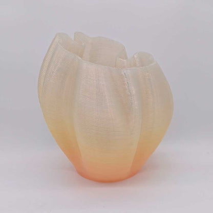 Frizz S.1 - L.E.008