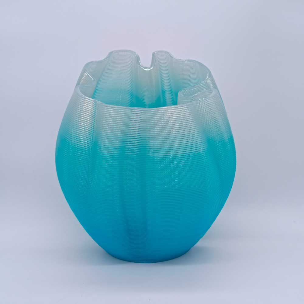 Frizz S.1 - L.E.009