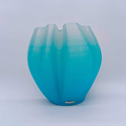 Frizz S.1 - L.E.009
