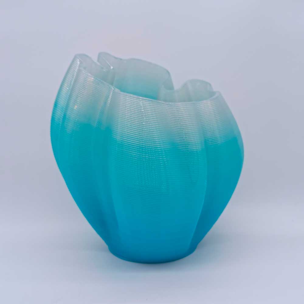 Frizz S.1 - L.E.009