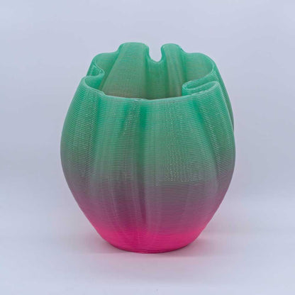 Frizz S.1 - L.E.010