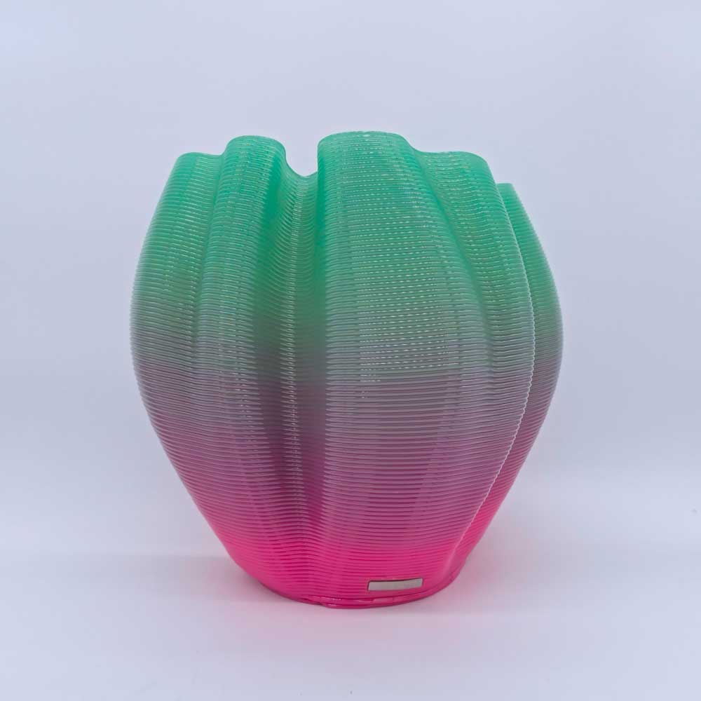 Frizz S.1 - L.E.010