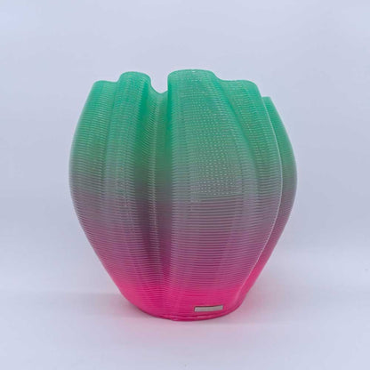 Frizz S.1 - L.E.010