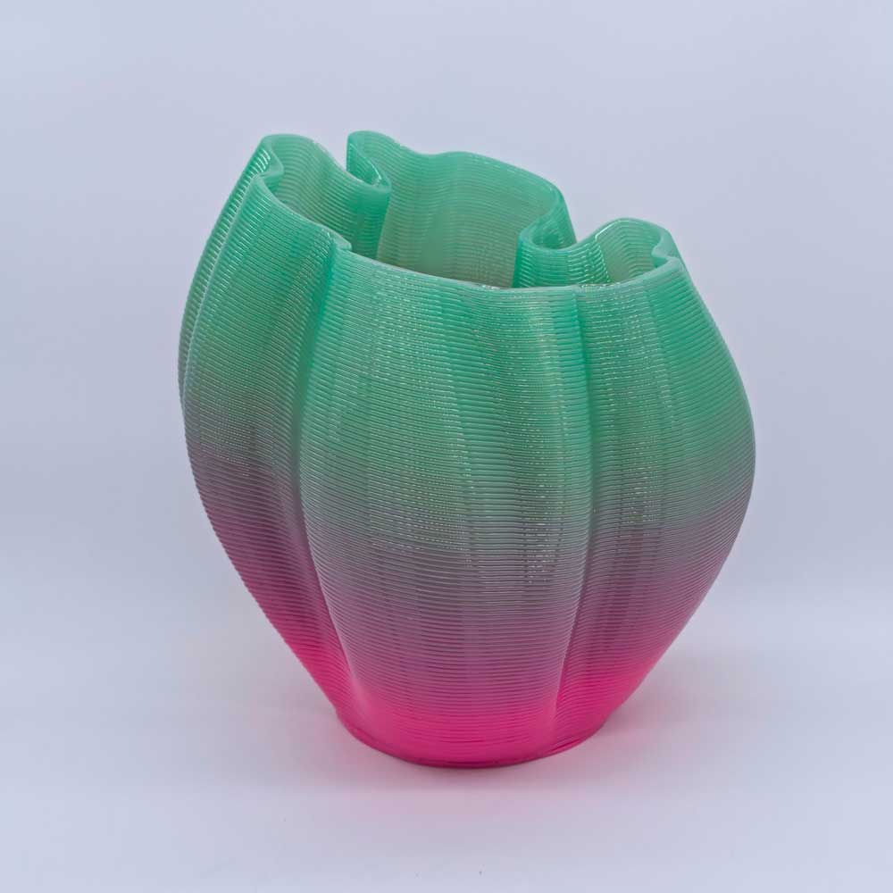 Frizz S.1 - L.E.010