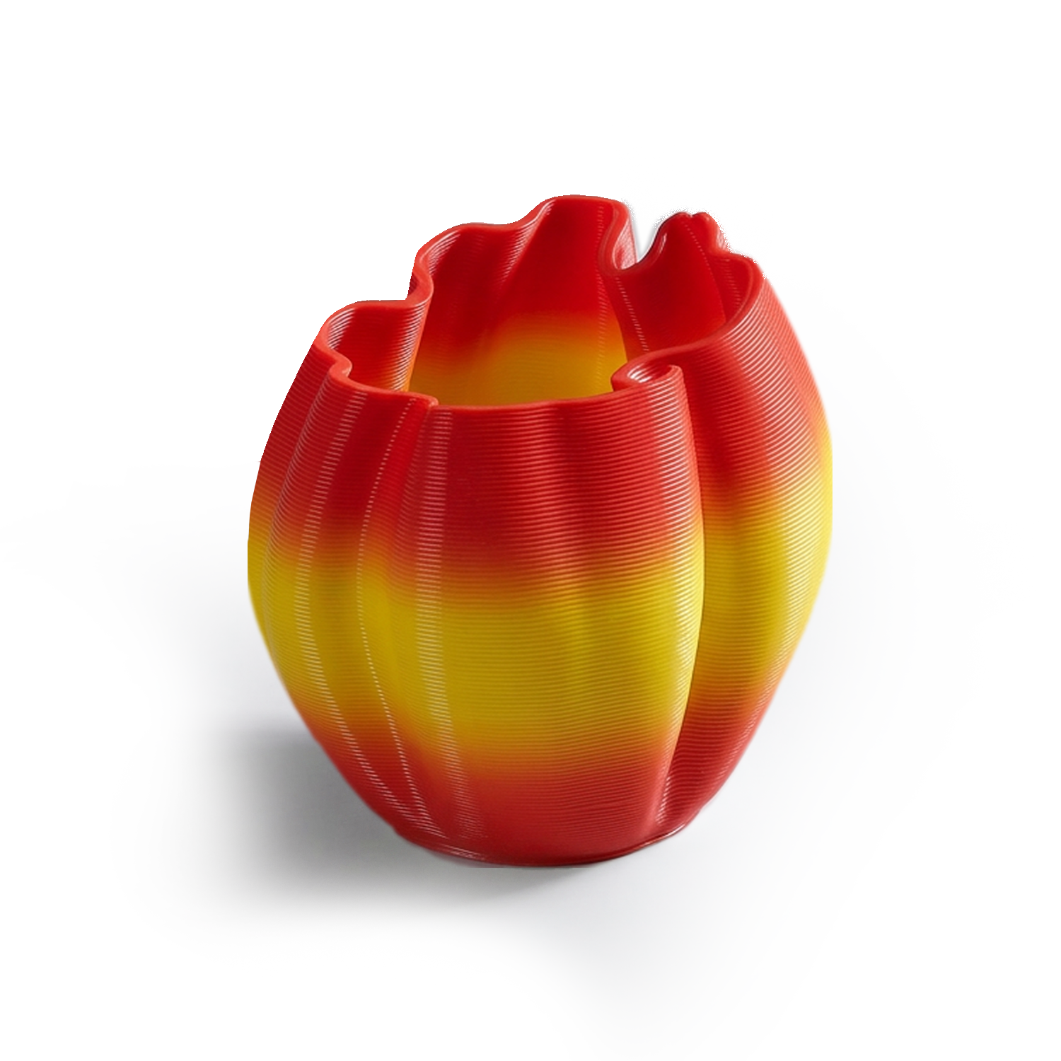 0020 Frizz S.1 Limited Edition