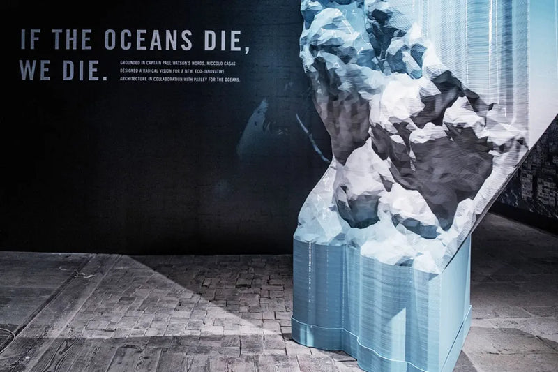 An artistic and innovative way to transform marine waste: Plasticity