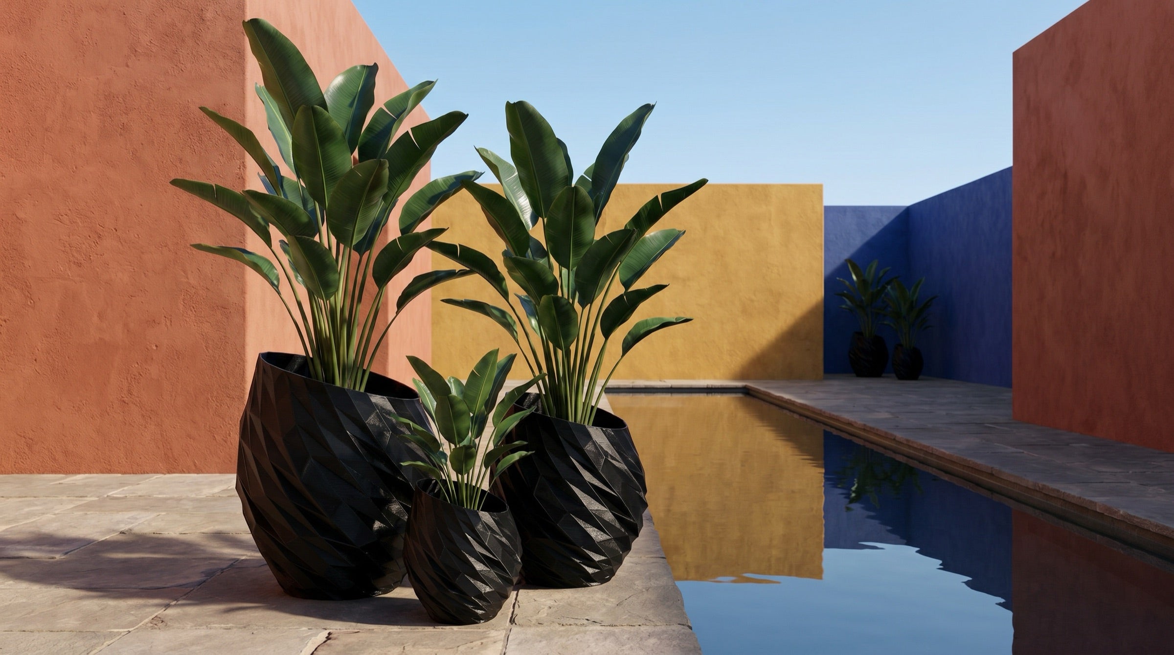 vitrus-solid-env-black.jpg