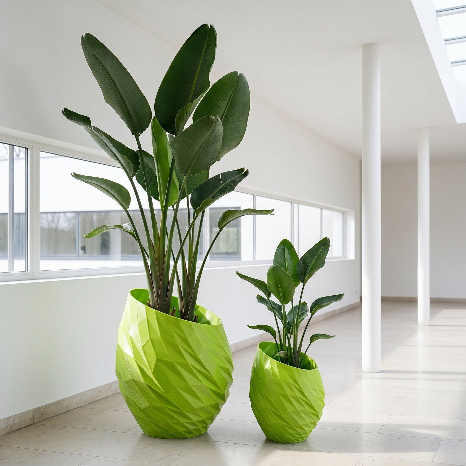 Verde Vitrus Solid