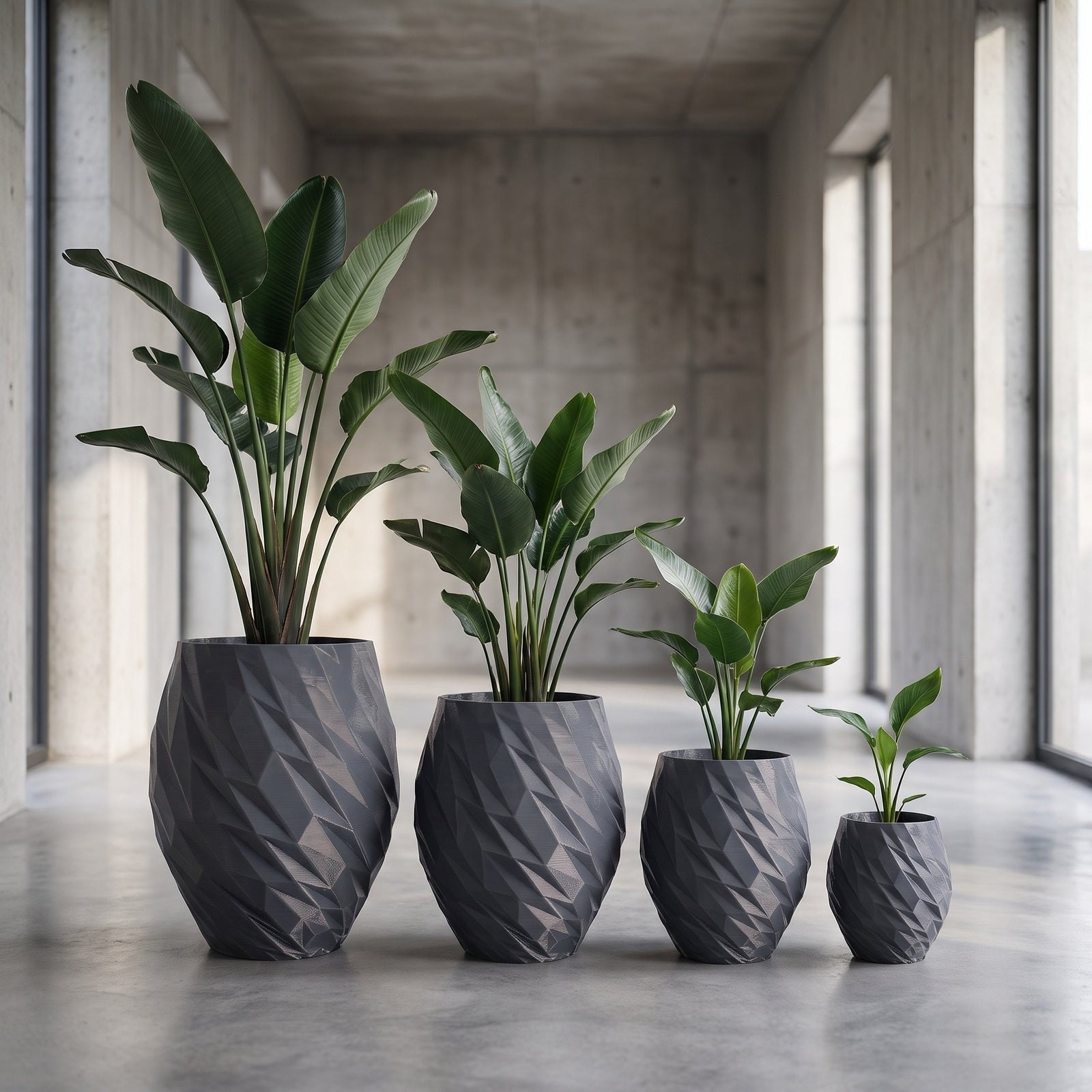 Gris Vitrus Solid